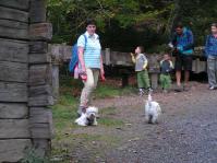 Klik op de foto voor groter formaat